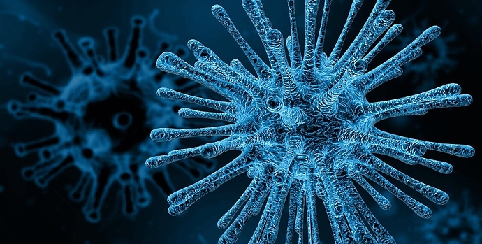 Bild eines Corona Virus